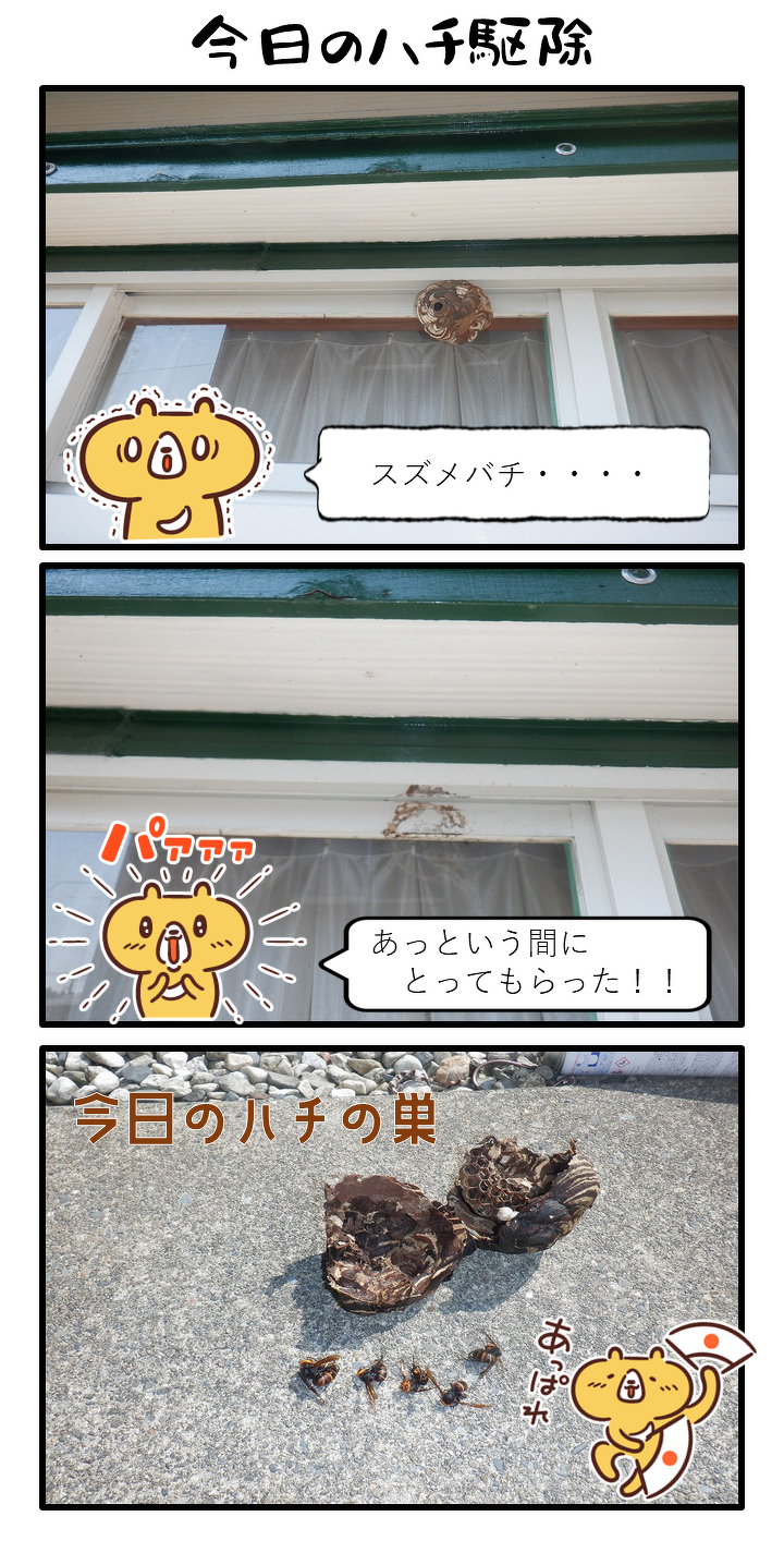 今日のハチ駆除は恐怖のスズメバチ。しかしあっという間にハチの巣を撤去。